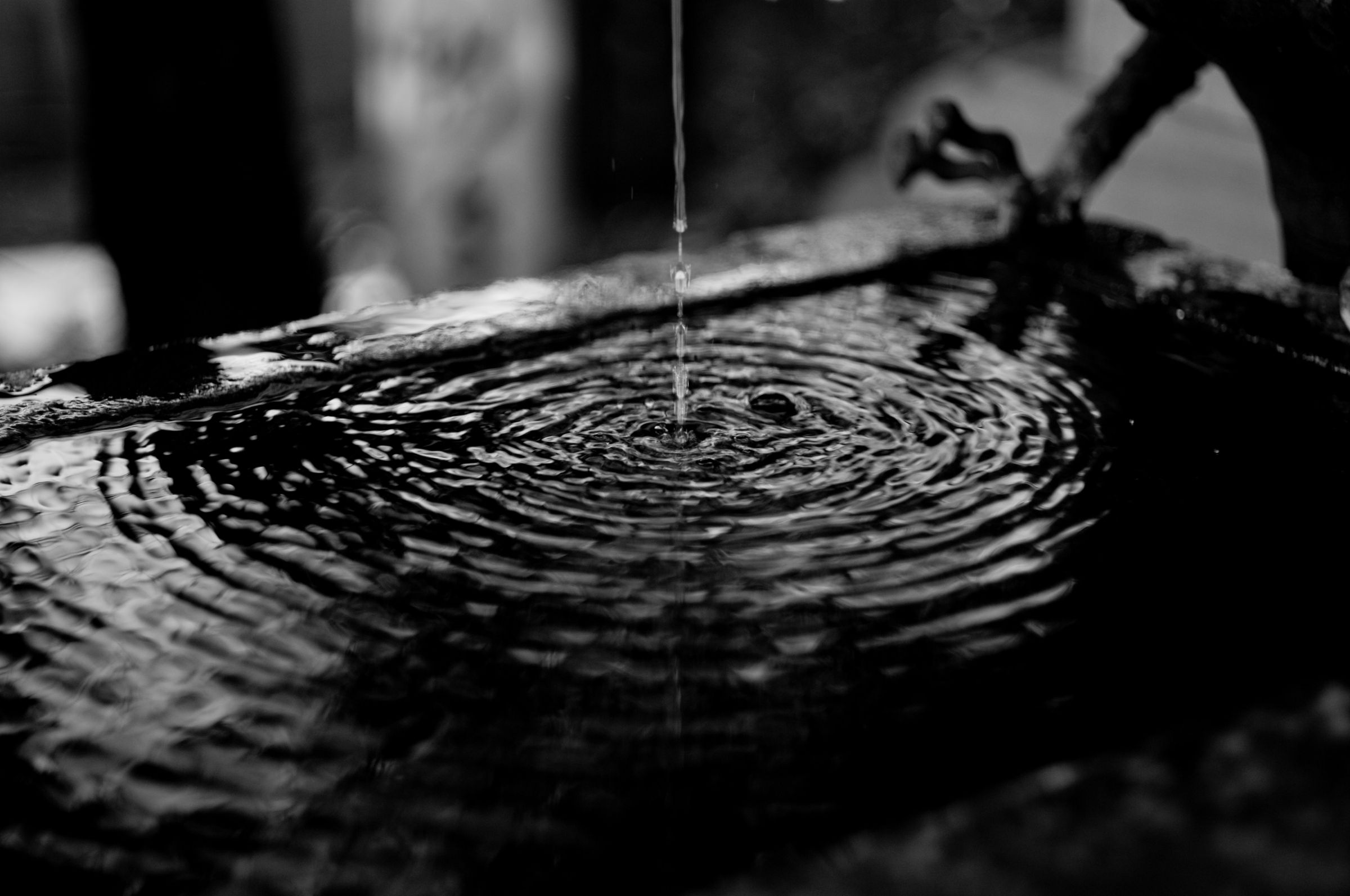 静寂の波紋 | GANREF