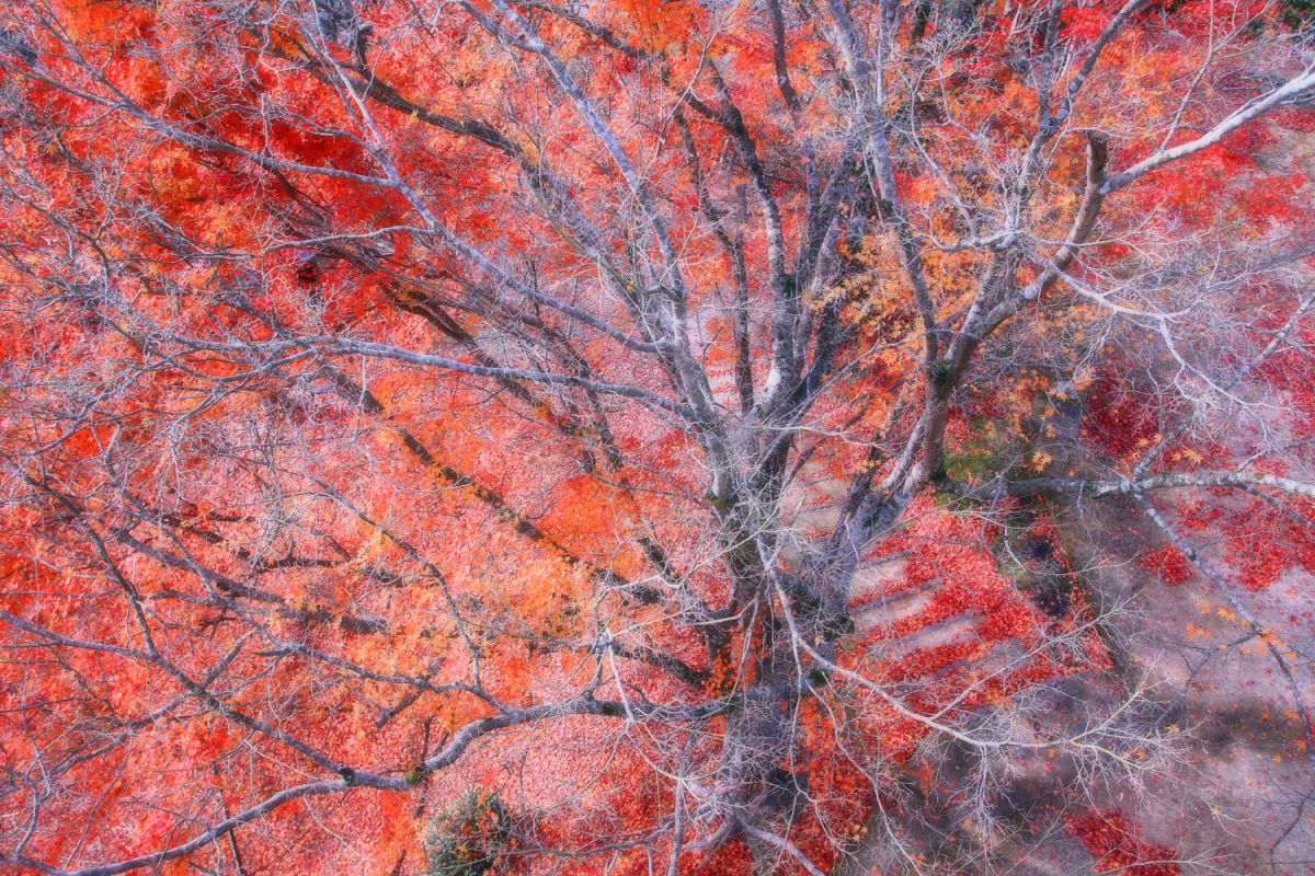 EF17-35mm F2.8L USMで撮影された写真 | 写真検索 | GANREF