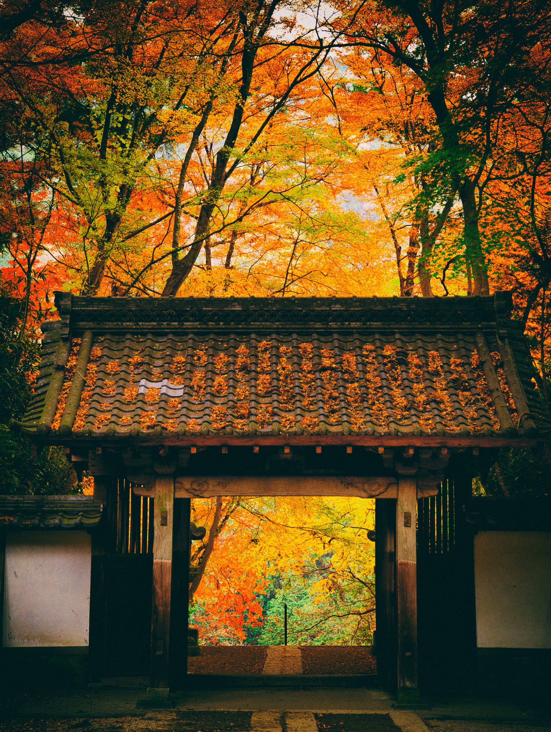 燃え上がる香積寺山門 | GANREF
