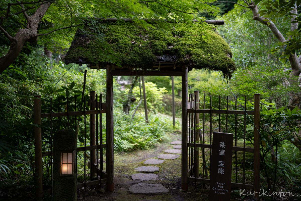 APO-LANTHAR 35mm F2 Aspherical E-mountで撮影された写真 | 写真検索 