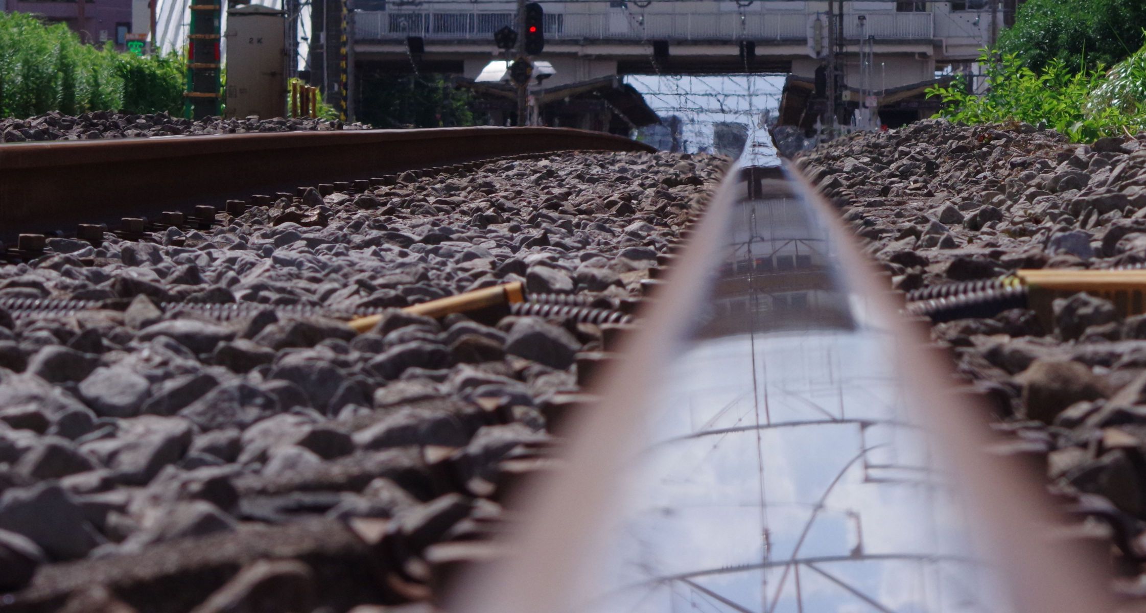 DA18-55mmF3.5-5.6AL WRで撮影された写真 | 写真検索 | GANREF