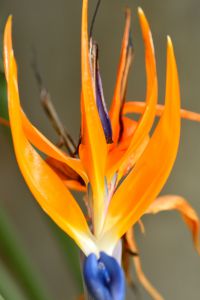 82519ebcd2462f31329f970c04cc52