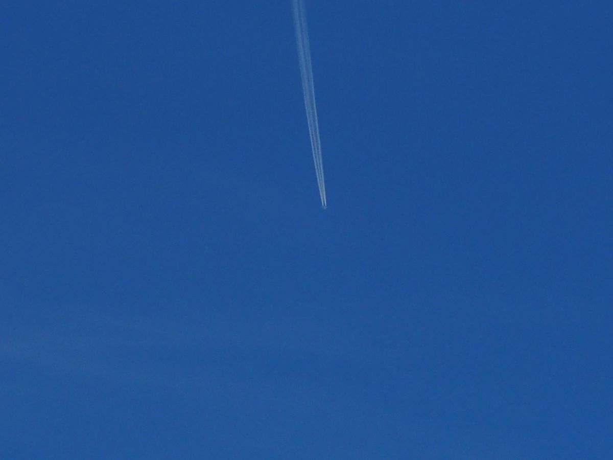飛行機雲 自然 風景 空 雲 Ganref