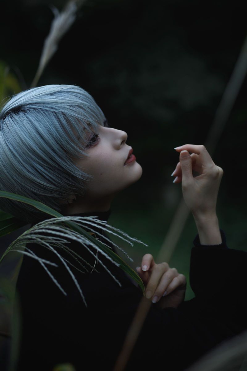 Silver Grass | GANREF