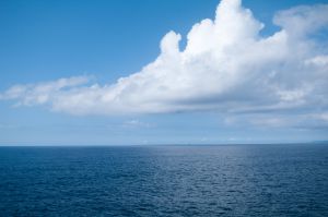 6393fdc65c62338df2a7166c3fc088