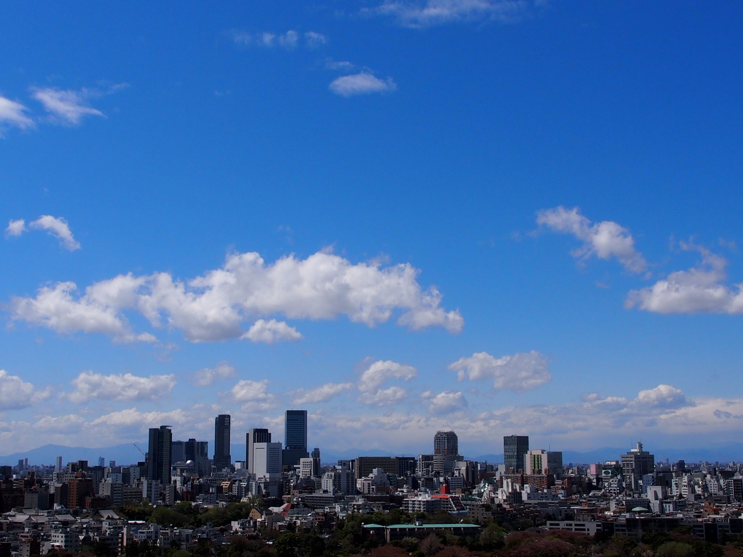 オリンパスブルー | GANREF