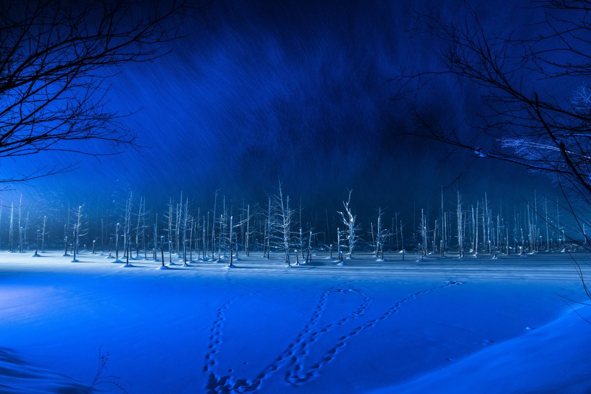 夜雪乱舞 自然 風景 気象 天候 天気 Ganref