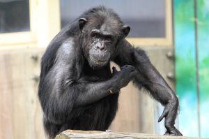 f15c1516b0ac5f63f916ff706115bc