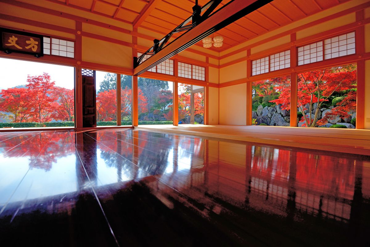宝徳寺の床もみじ 植物 紅葉 Ganref