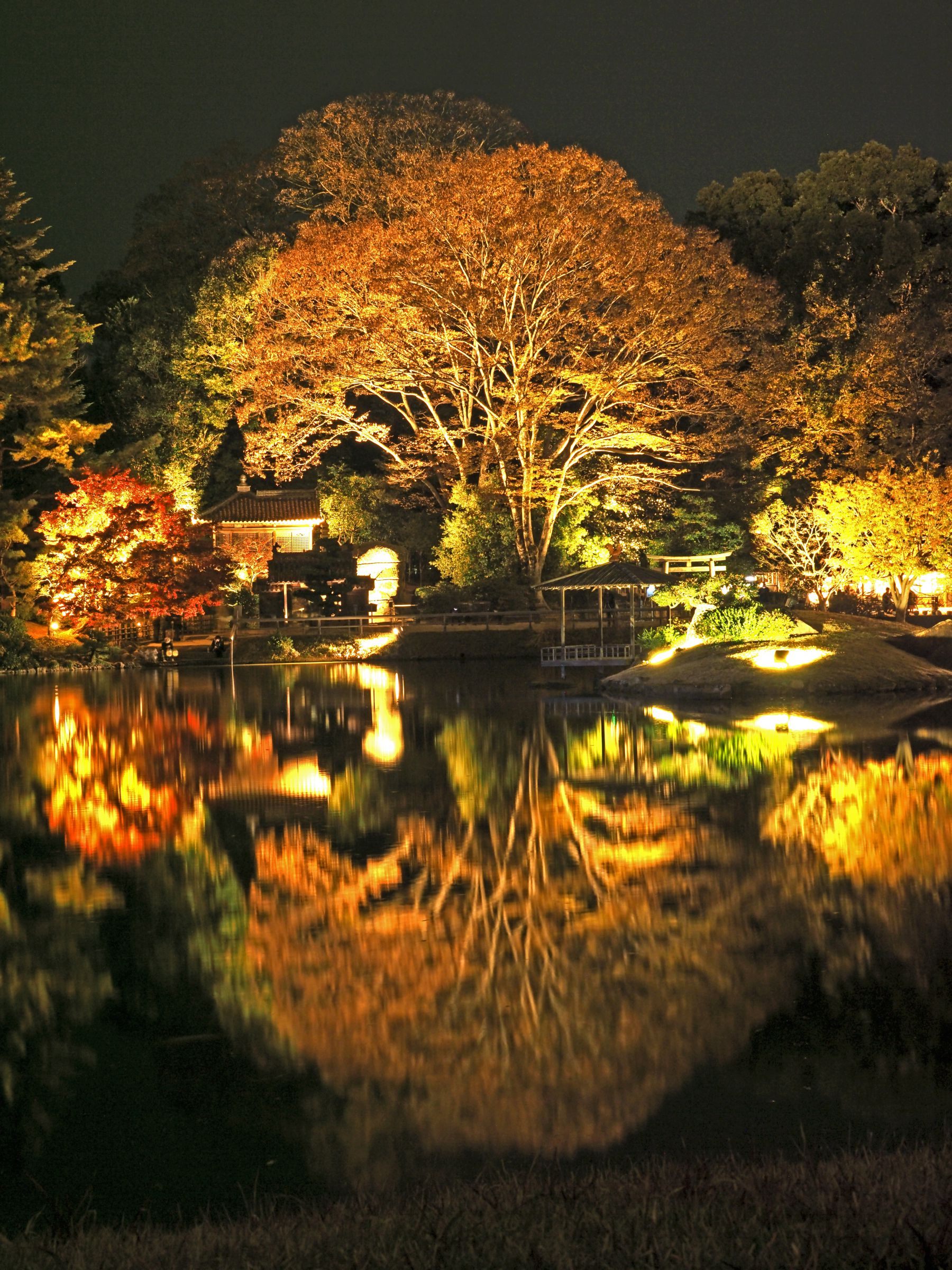 幻想庭園[+1] 幻想庭園[+1] Amazon.co.jp: 幻想庭園 蟻プロジェクト CD: ミュージック