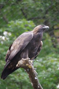 05c27b8bb84a6a82756b8926a846ad