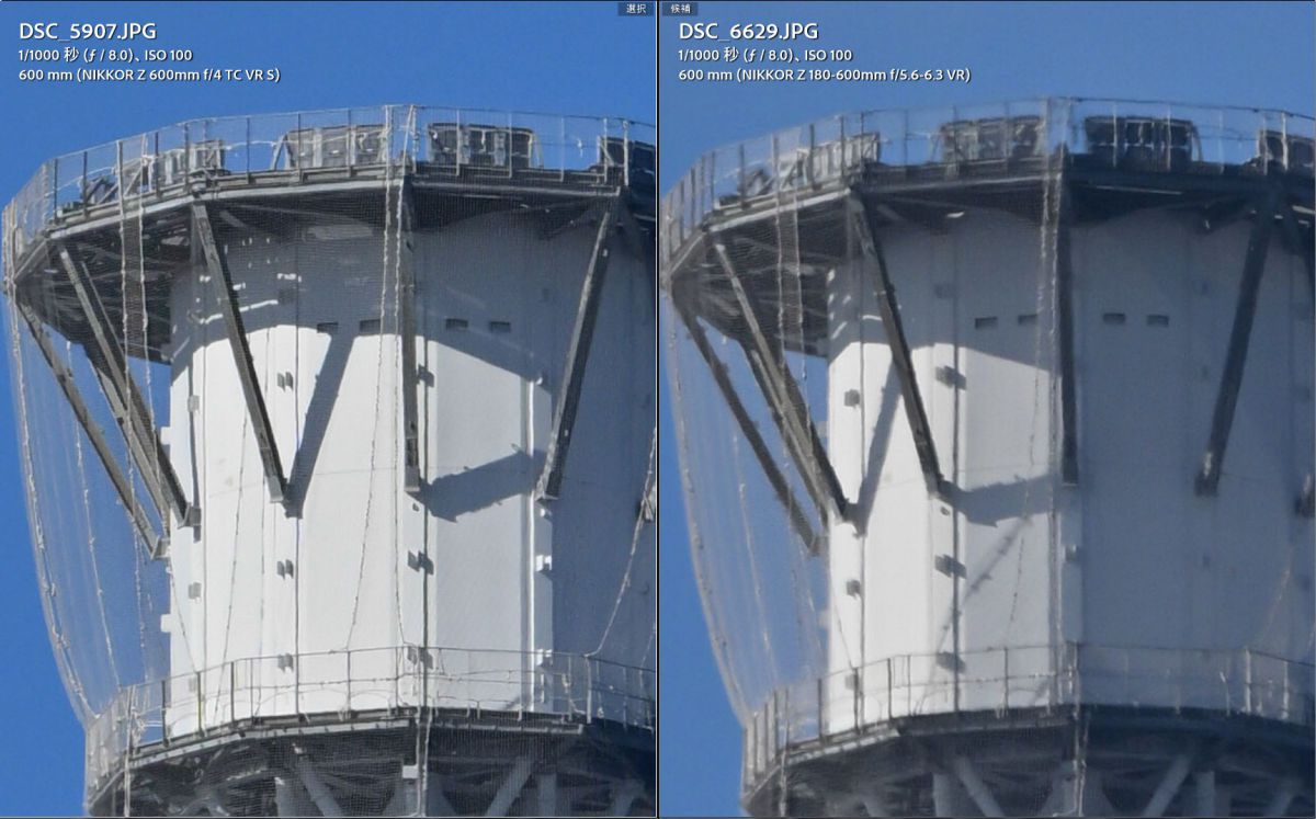 注目製品レビュー ～Z8＋超望遠レンズ【野鳥編】～ / 第22 回 NIKKOR Z