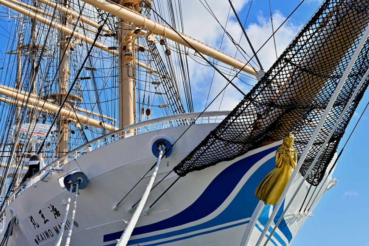 MDAwMDAyMDA1NQ_MC4yNTM1ODcwMCA