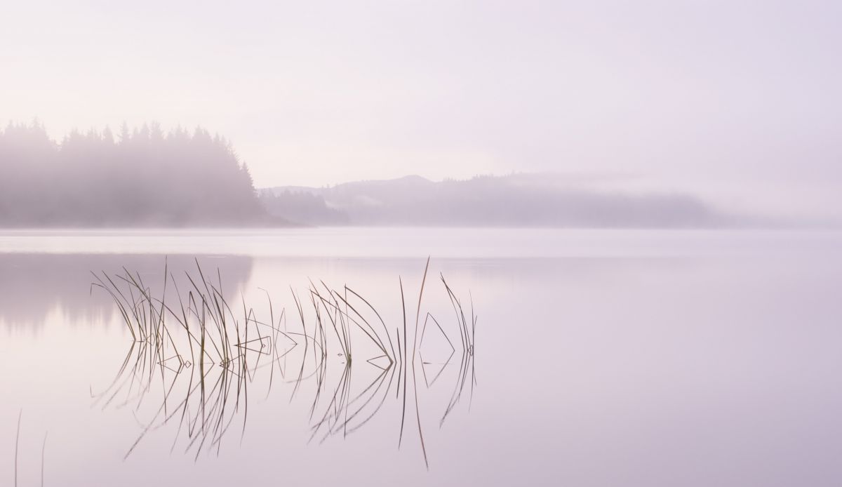 AF 70-300mm F/4-5.6 Di LD Macro 1:2で撮影された写真 | 写真検索