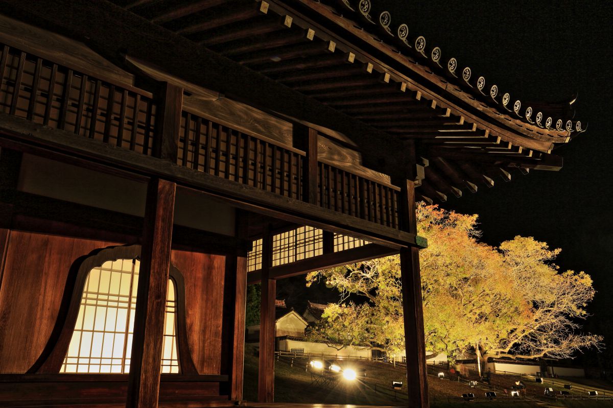 旧閑谷学校 植物 紅葉 Ganref