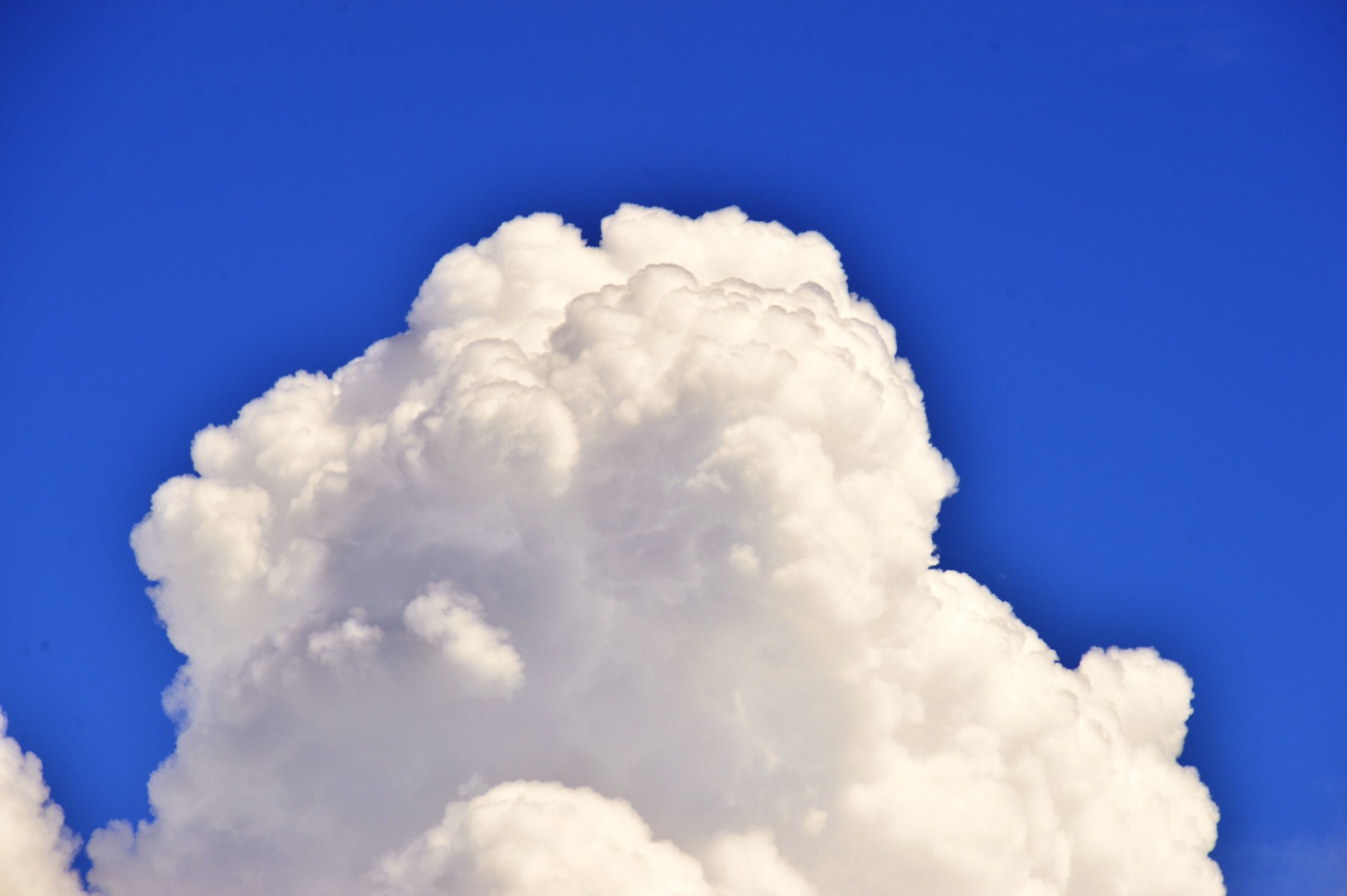 雲 入道雲（積乱雲） | GANREF