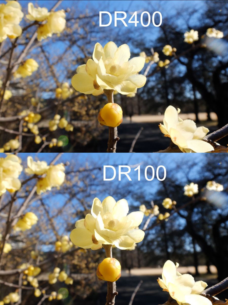 富士花卉 スーパーマクロ＋ダイナミックレンジ400％は、花撮りに最適