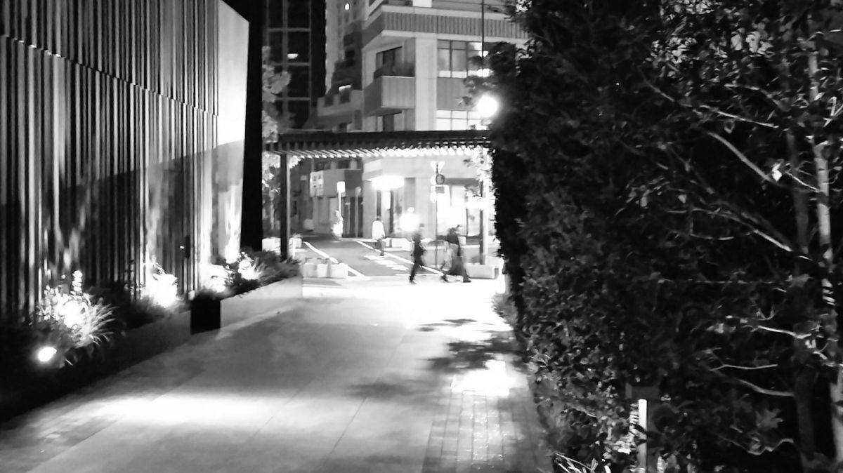 img_20250825_195521aaa(2)k.jpg 夜^^よる | GANREF
