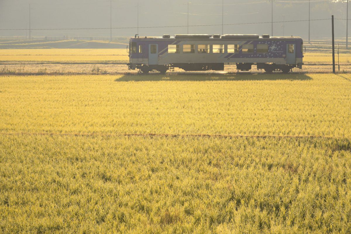 AF-S VR Zoom-Nikkor ED 70-200mm F2.8G（IF）で撮影された写真 | 写真