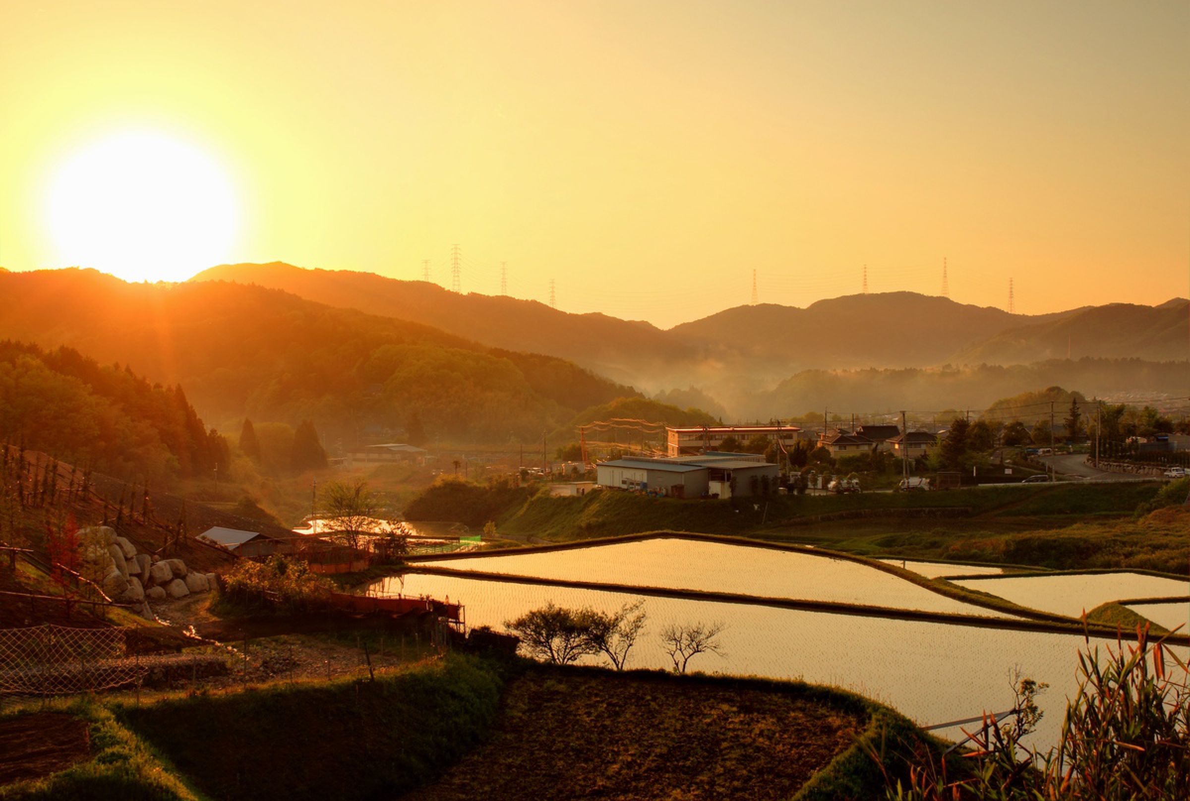 風景画 公園の夕焼け 画家志望作 風景画 公園の夕焼け 画家志望作 - メルカリ