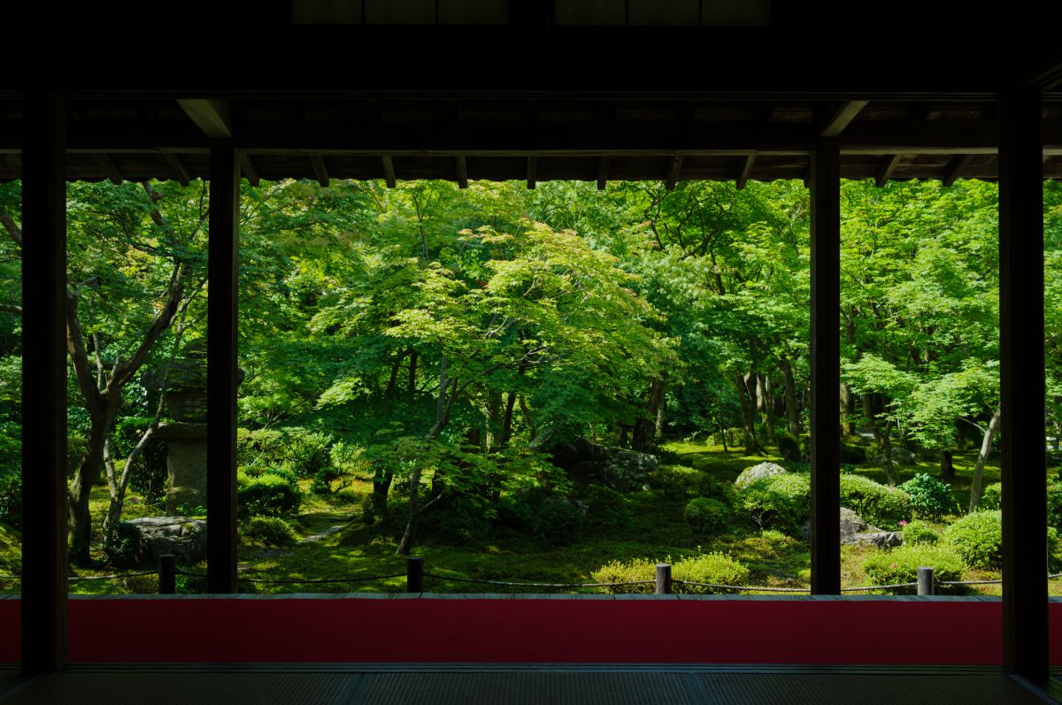 夏木立 街並み 建物 神社 寺 教会 Ganref