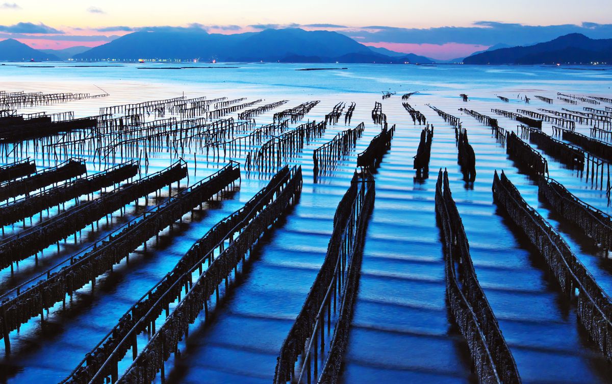 XF16-55mmF2.8 R LM WRで撮影された写真 | 写真検索 | GANREF