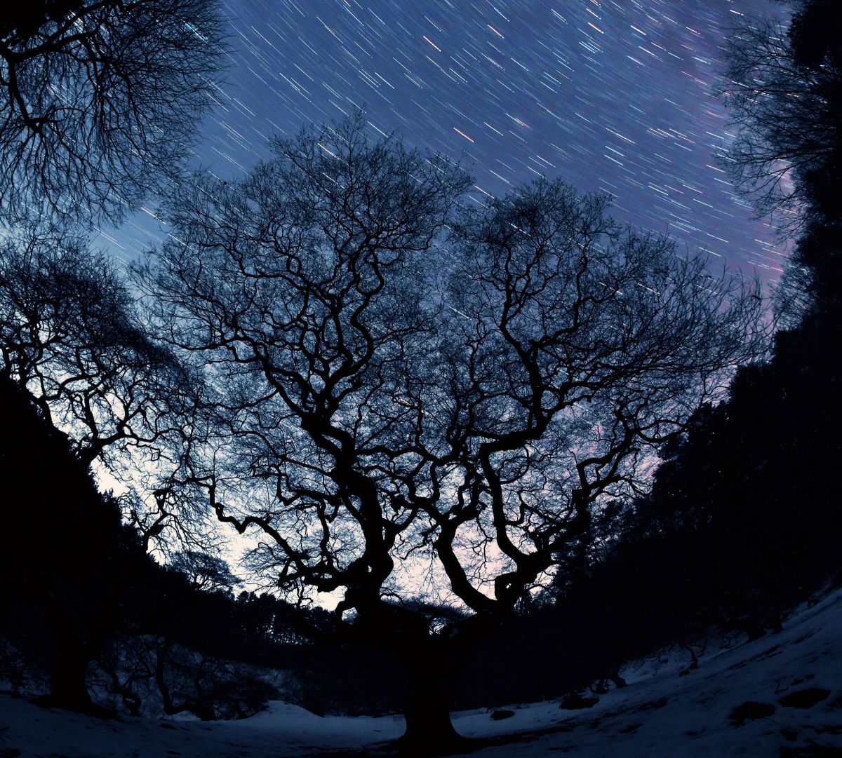 8mm F2.8 UMC FISH-EYE IIで撮影された写真 | 写真検索 | GANREF