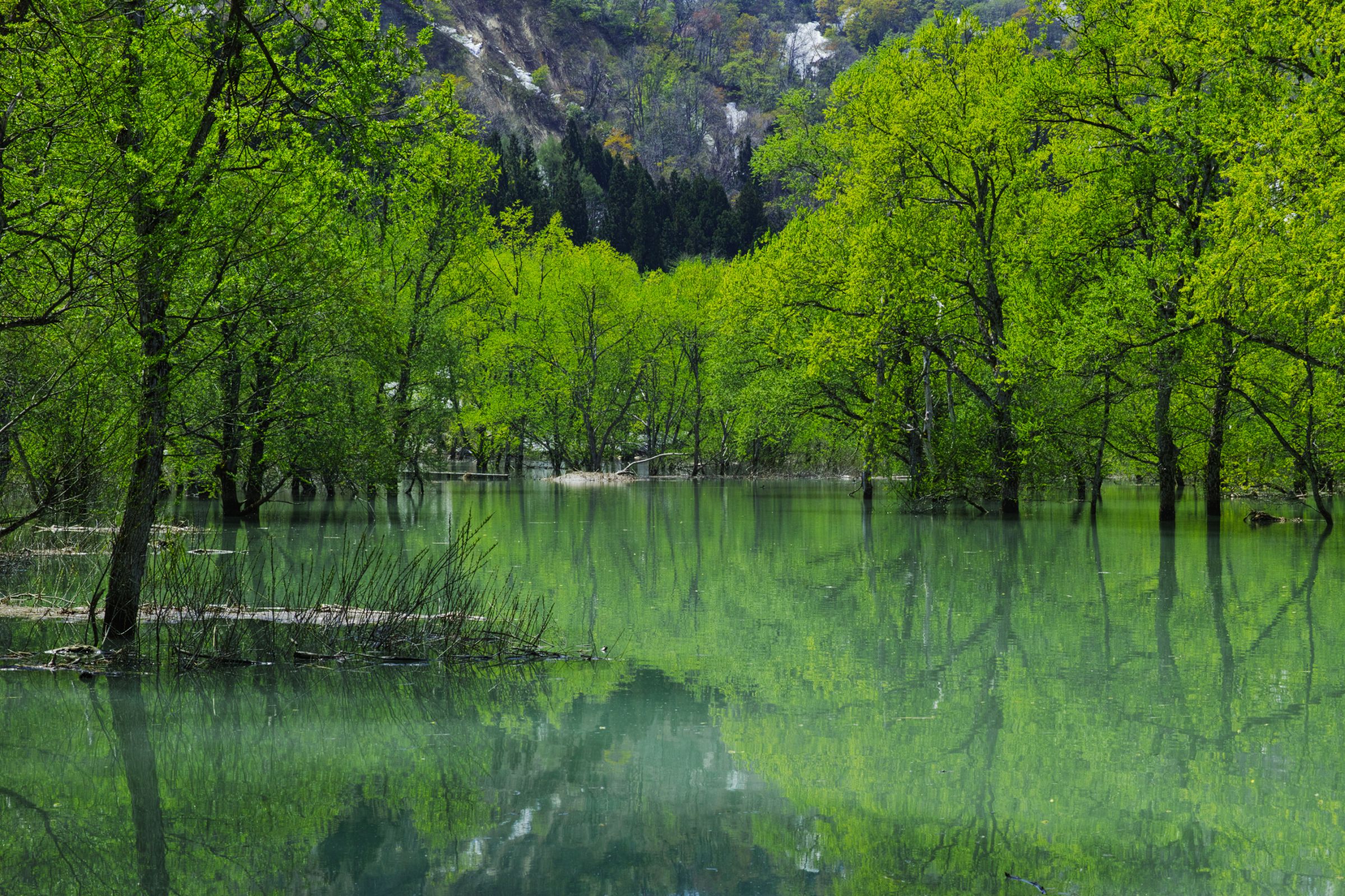 静かな湖面 | GANREF