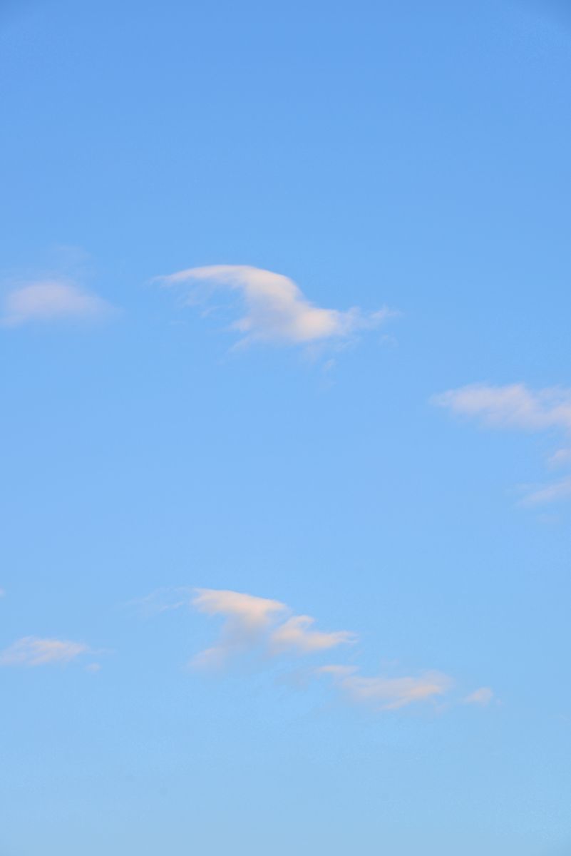 空に浮かぶ雲鳥２ 自然 風景 空 雲 Ganref