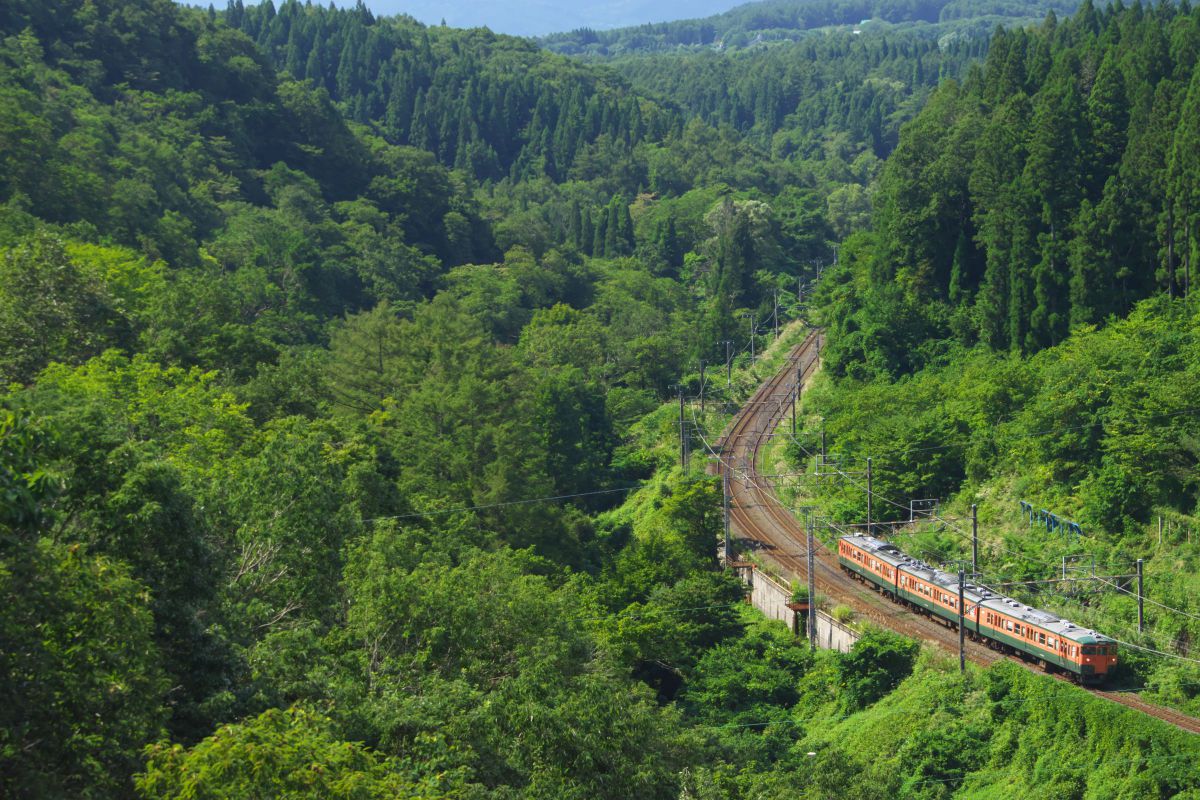 hayamiyu 様_フォロー割_Nikon D5300❤️動画撮影❤️ダブルレンズ Nikon D5300 連続撮影の設定の方法 - YouTube