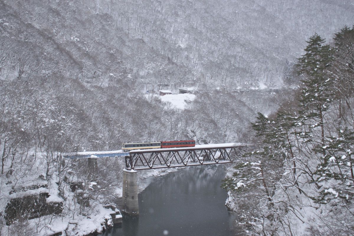 D5300で撮影された写真 | 写真検索 | GANREF