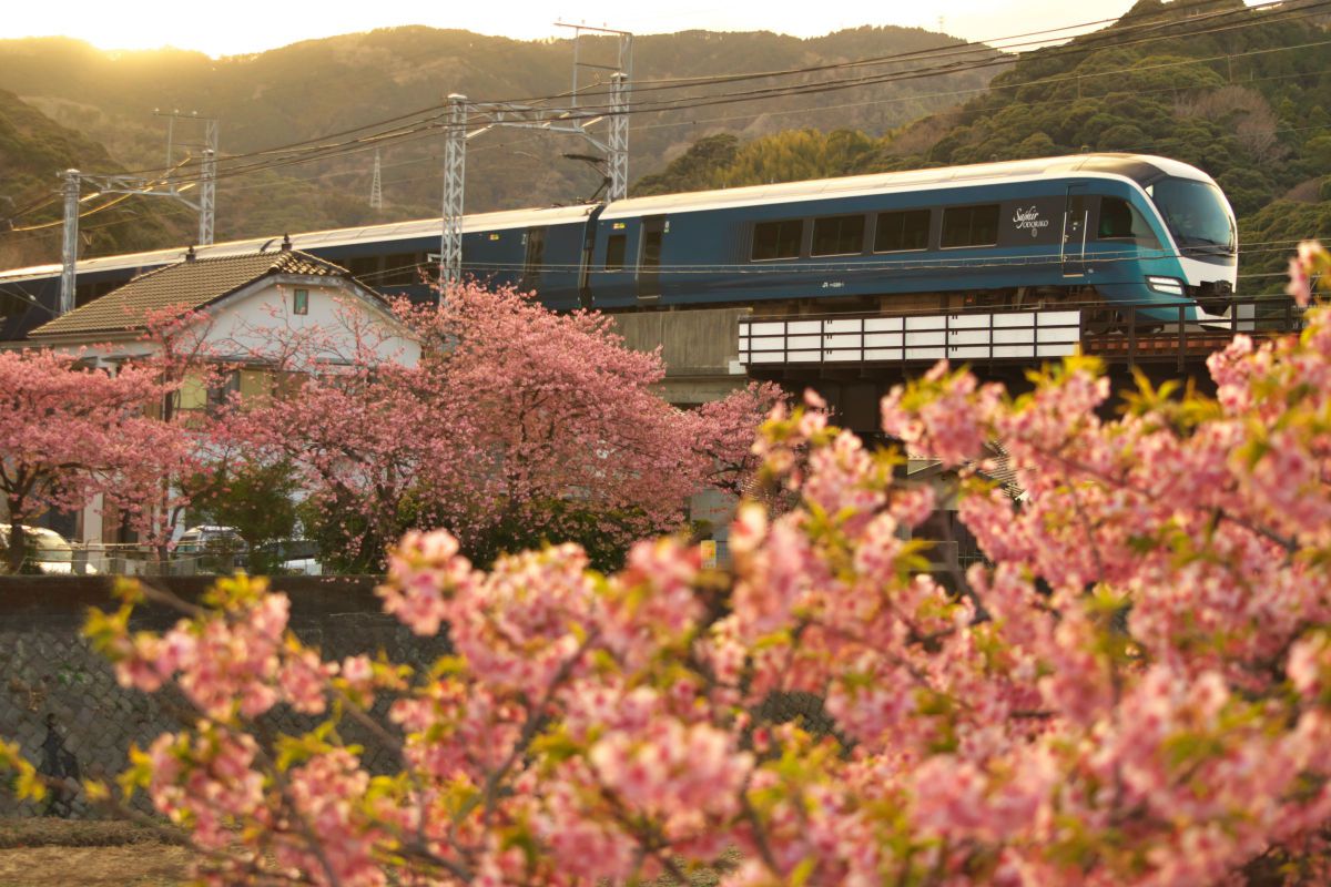 D5300で撮影された写真 | 写真検索 | GANREF