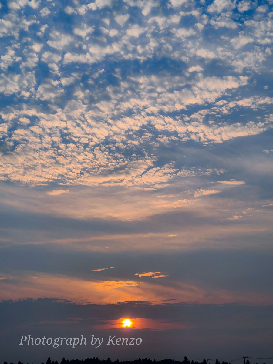 夕陽 | GANREF
