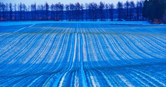 雪の写真2024 | “お題”の写真をみんなで投稿しよう！ | GANREF