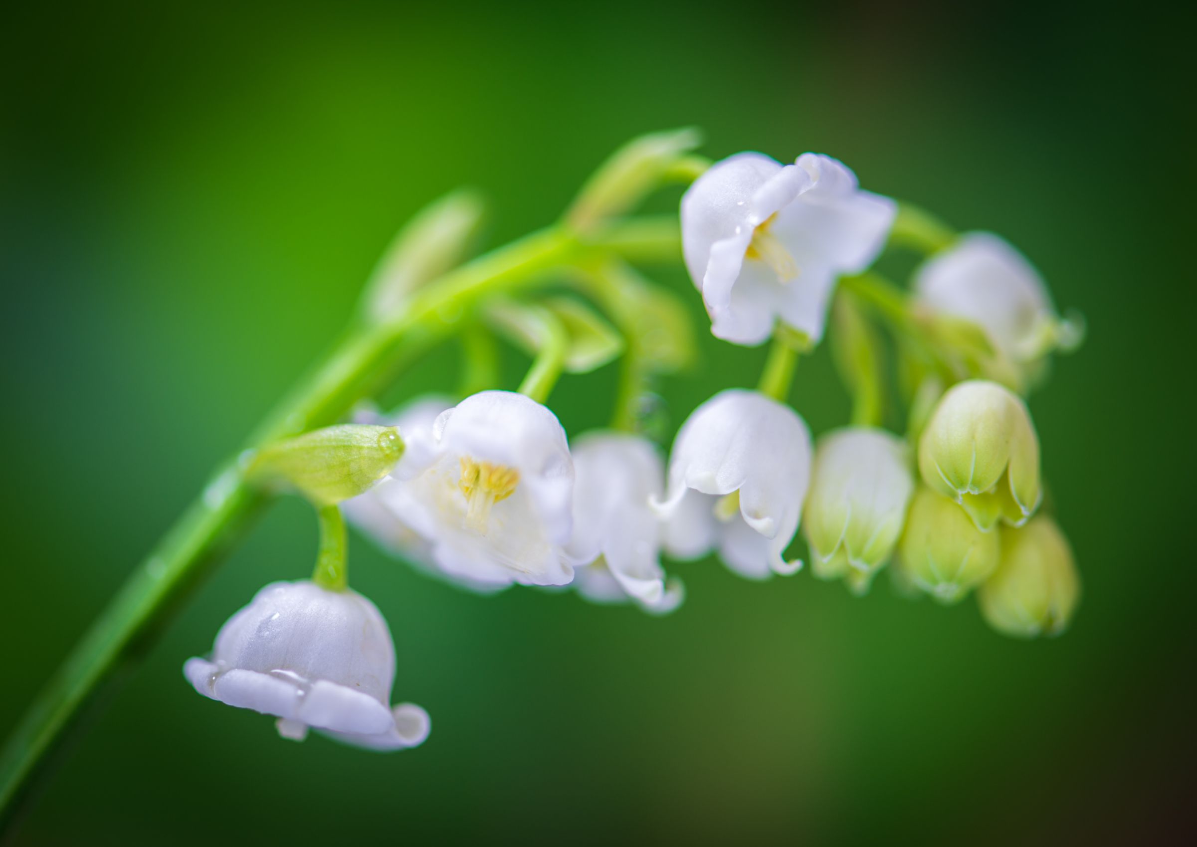 シーグラスアート *・゜゜・*:.。..。.:*再び幸せが訪れる とびきりの
