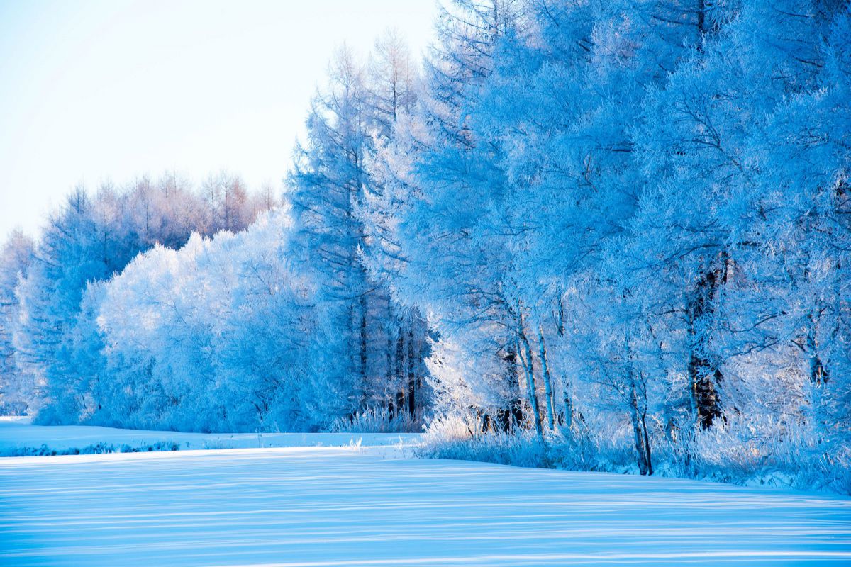 AF-S NIKKOR 70-200mm f/2.8G ED VR IIで撮影された写真 | 写真検索