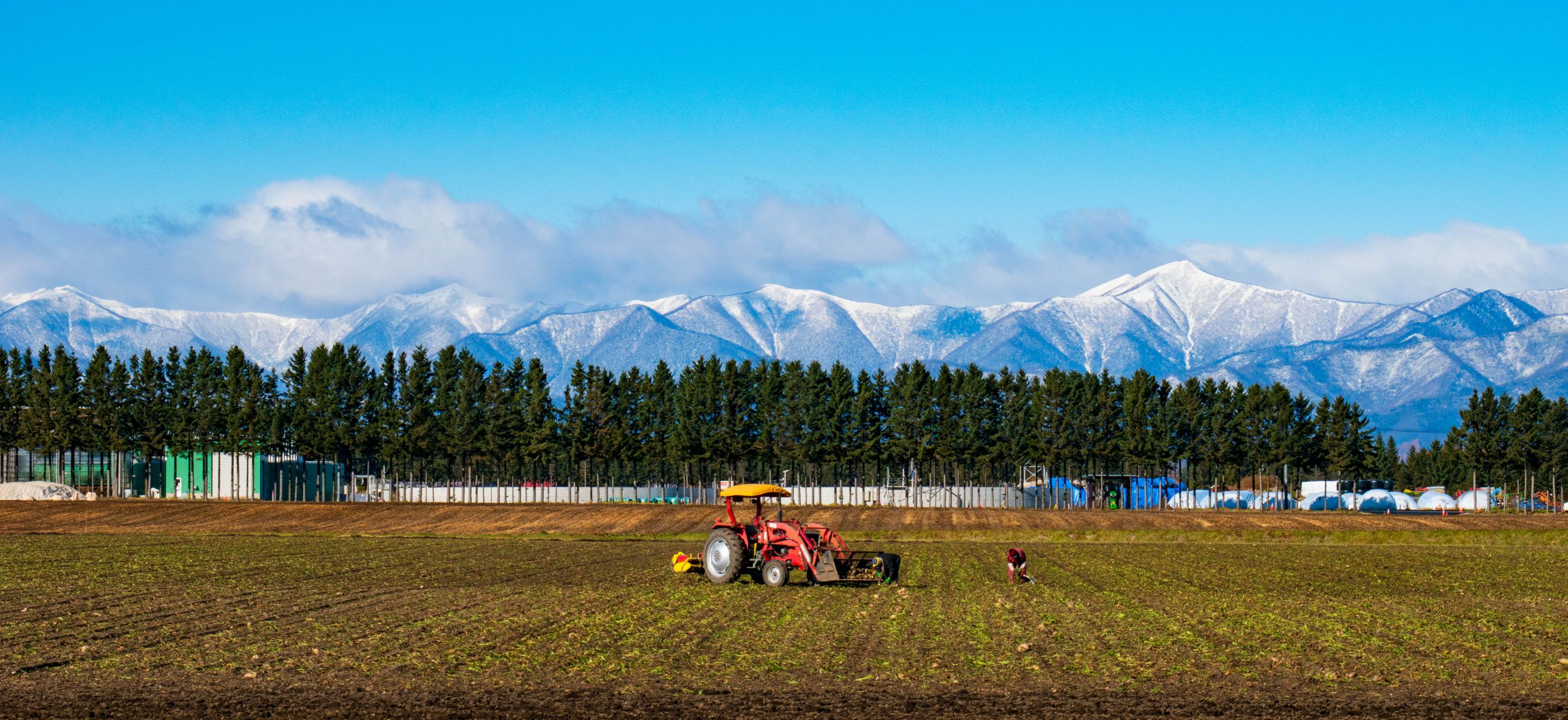 D5600で撮影された写真 | 写真検索 | GANREF