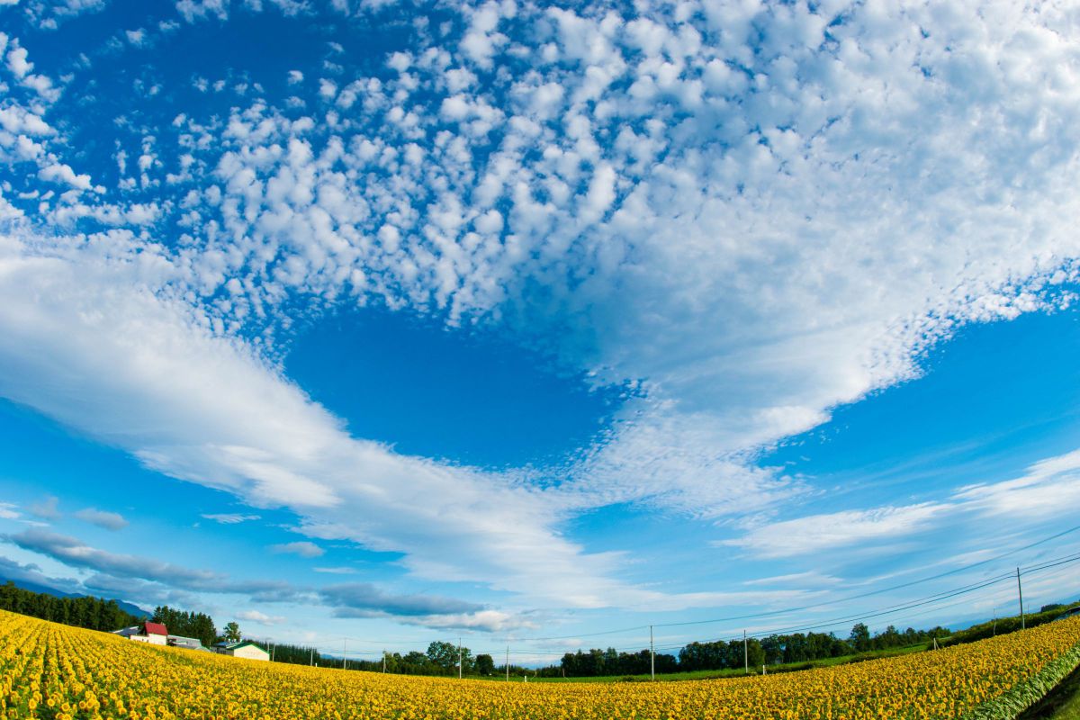 秋の朝 Limited Edition》K10紫金石／シルバートパーズセットリング