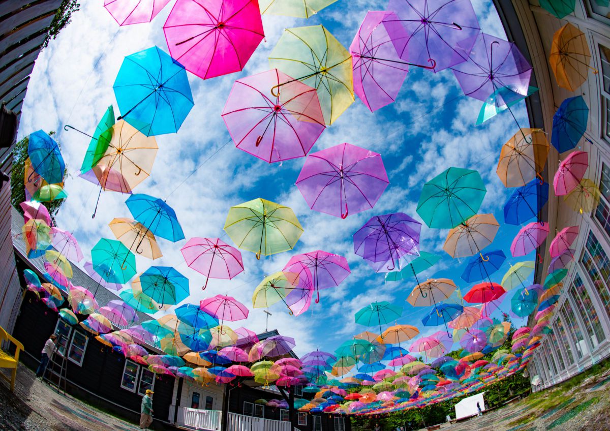 Ai AF Fisheye-Nikkor 16mm f/2.8Dで撮影された写真 | 写真検索 | GANREF