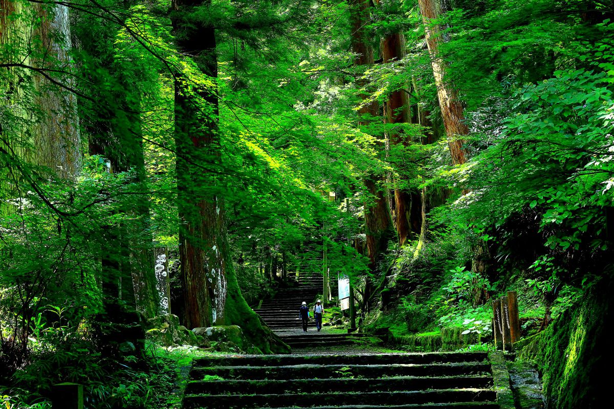 EF24-70mm F2.8L II USMで撮影された写真 | 写真検索 | GANREF