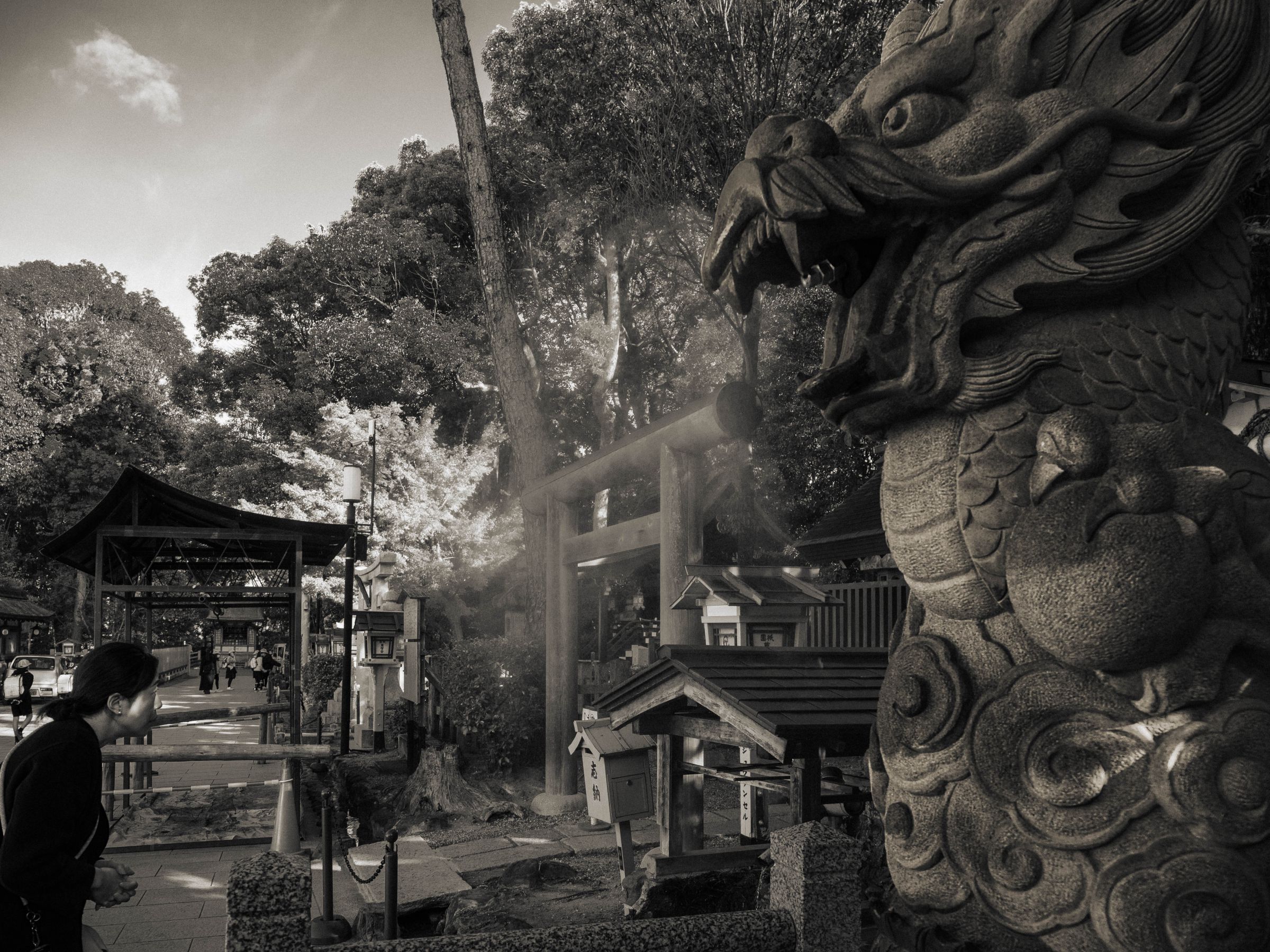 龍神様 龍神様 #dragon #水墨画 #覚醒 #成田山新勝寺参道