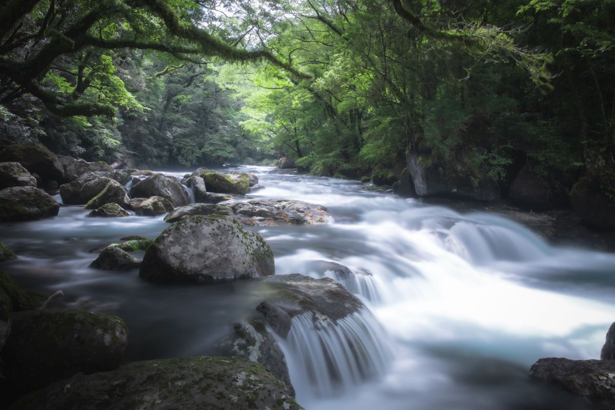 写真まとめ② FUJIFILM X-H2で撮影された写真 | 写真検索 | GANREF