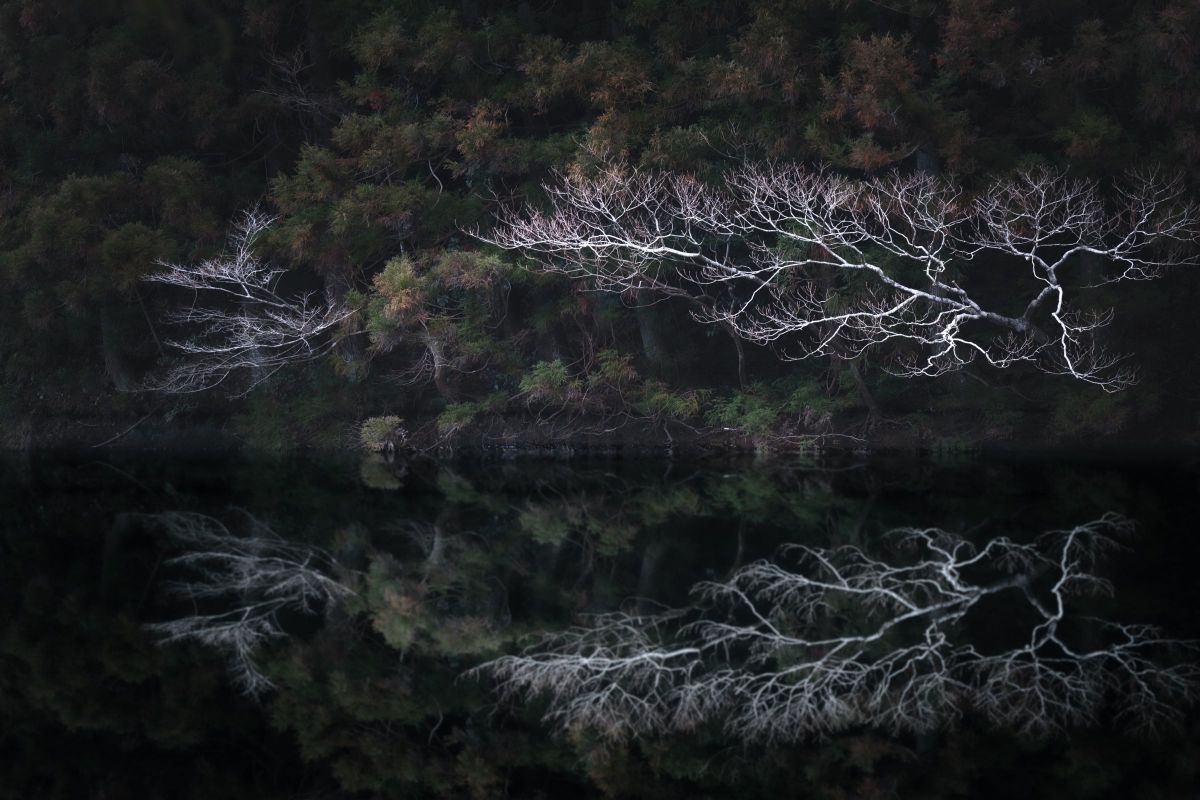 【夜に画像追加します】FE 70-200mm F4 Macro G OSS II FE 70-200mm F4 Macro G OSS IIで撮影された写真 | 写真検索 | GANREF