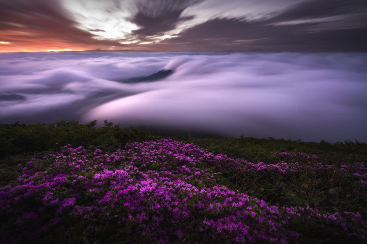 10-18mm F2.8 DC DN | Contemporaryで撮影された写真 | 写真検索 | GANREF
