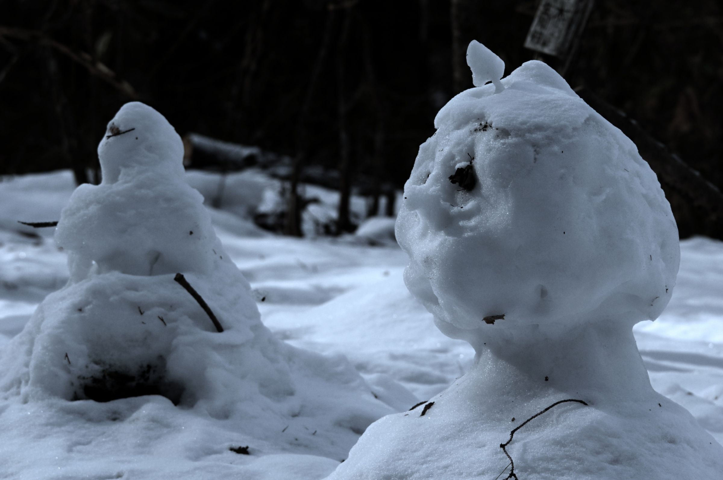 怖い雪だるま！？ | GANREF