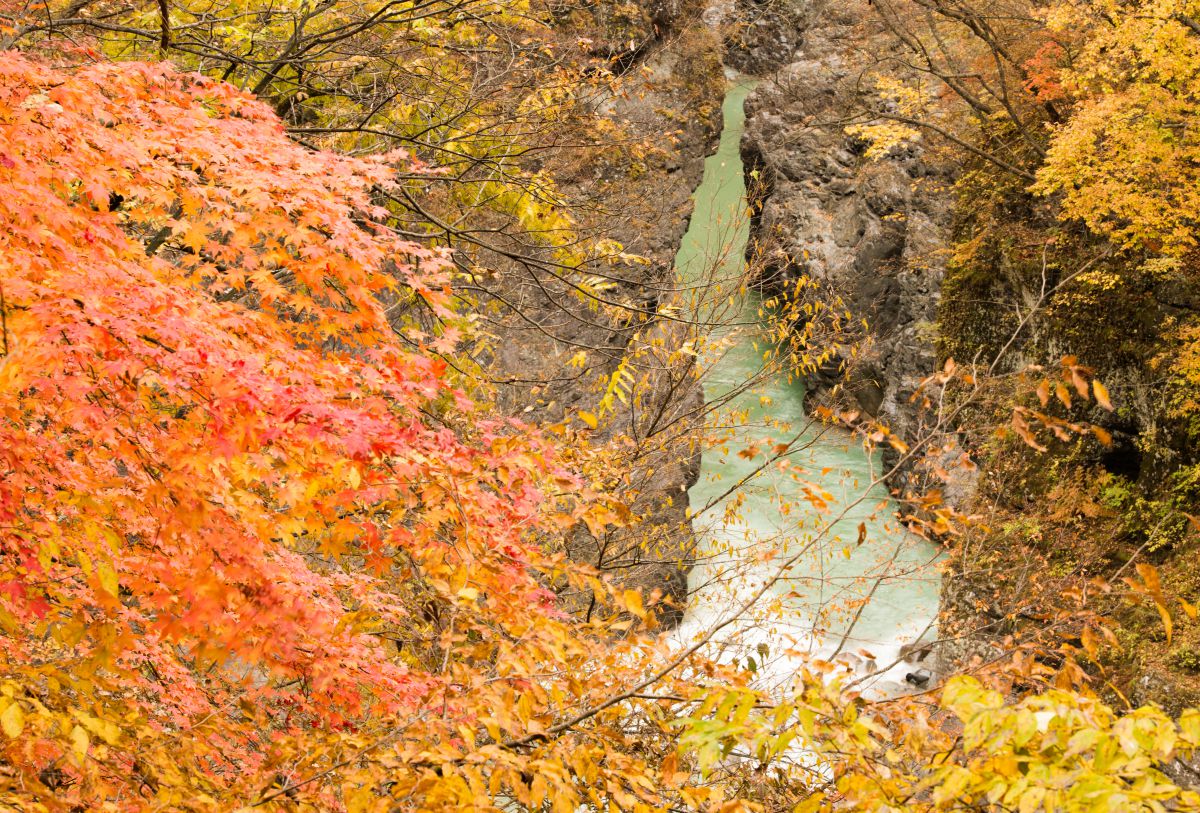 吾妻渓谷の紅葉 自然 風景 河川 Ganref