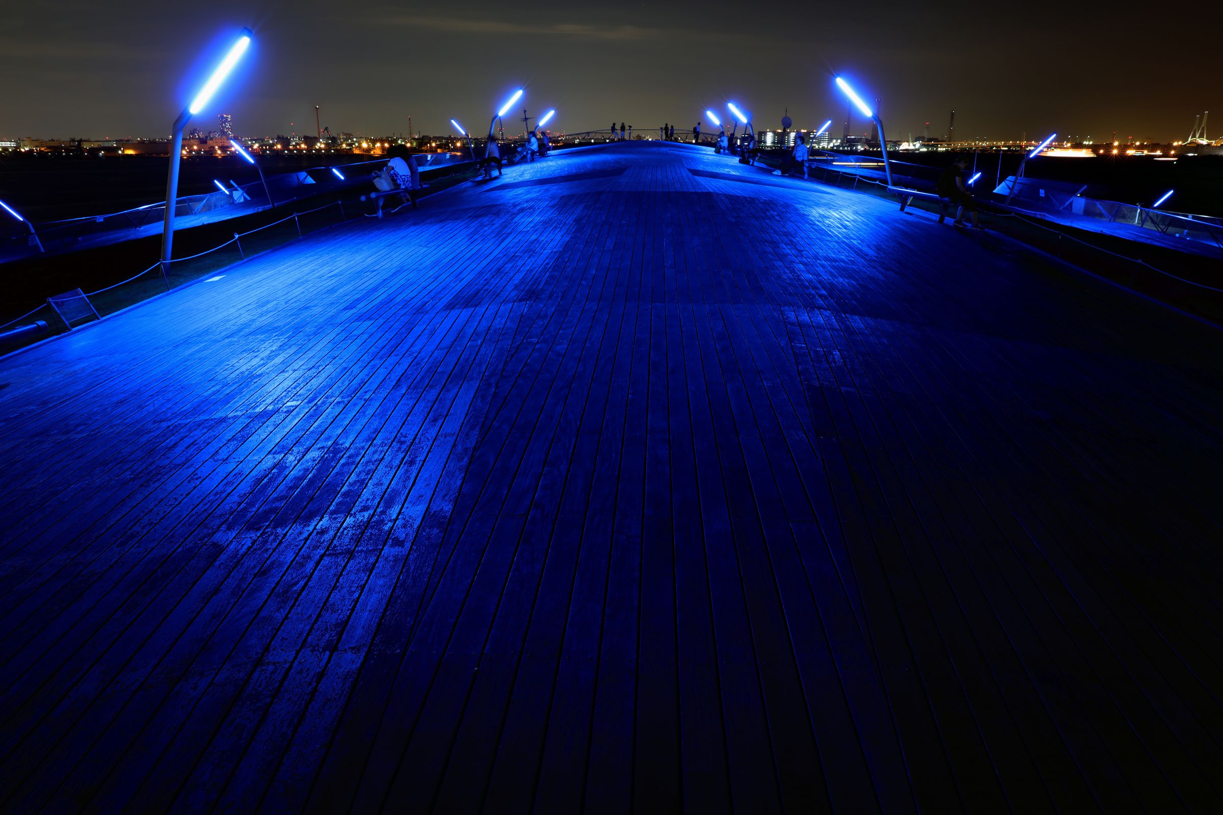 青いクジラ Amazon.co.jp: ラジコン ダイビング ブルークジラ (ゴールデン