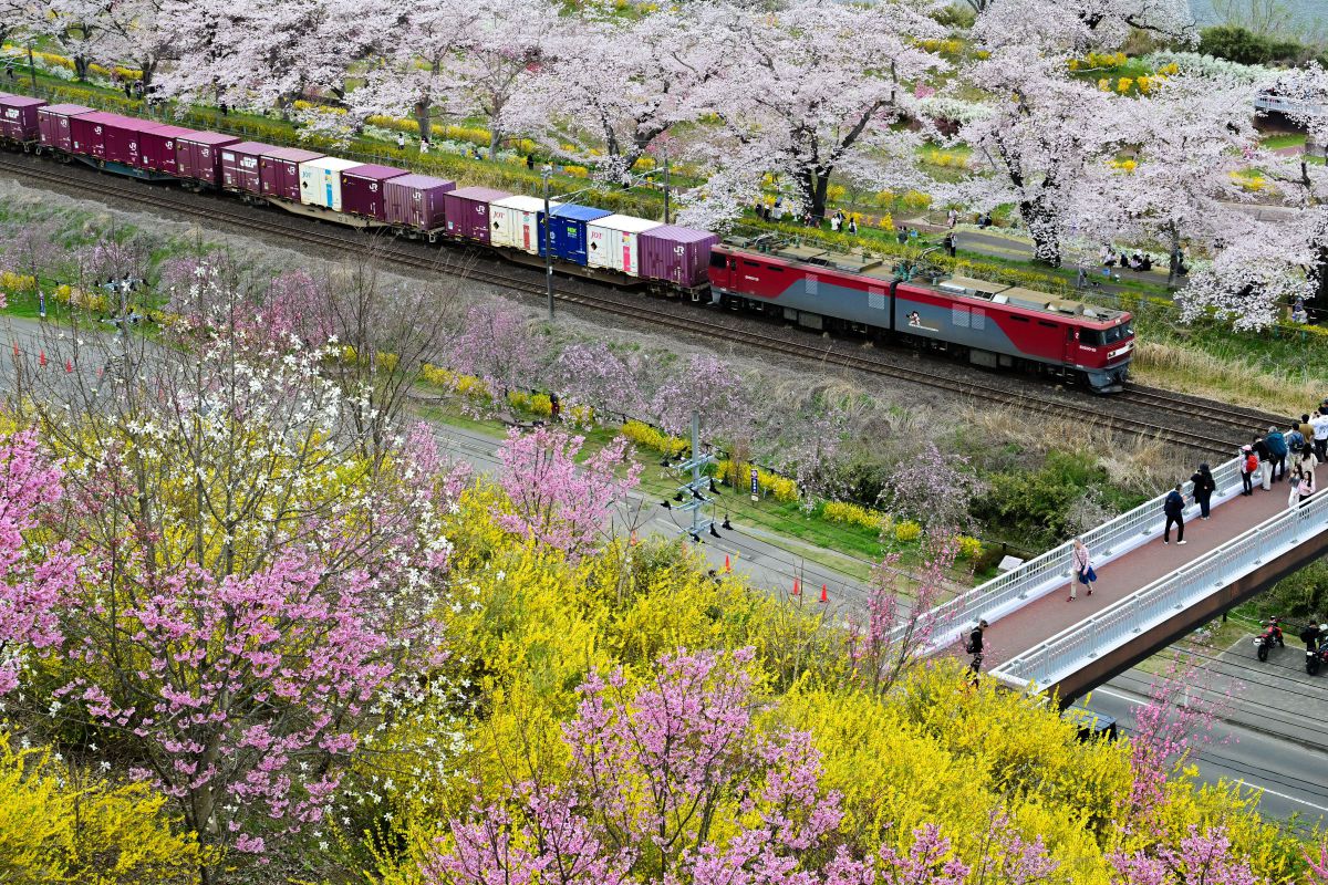 NIKKOR Z 24-70mm f/2.8 S IIで撮影された写真 | 写真検索 | GANREF
