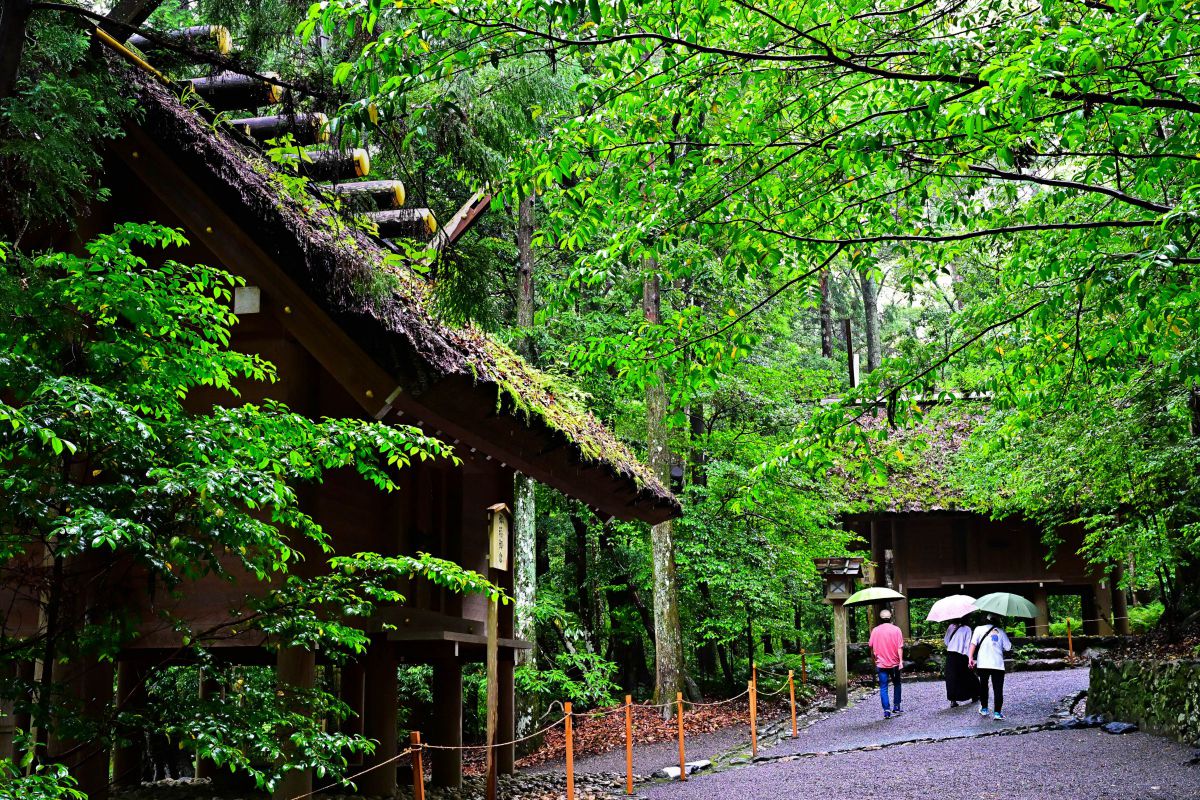 ニコンZ5II & Z6III レビュー］ 第28回 Z 24-70mm f/2.8 Sの描写参考