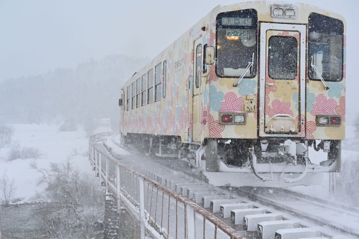 ニコン Z 7II＆Z 6II 機材レビュー 第5回 Z 24-200mm f4-6.3・気楽に